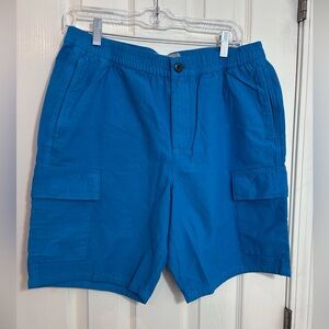 NWT Everlane Cargo Shorts Men’s organic cotton linen blend blue casual size M.